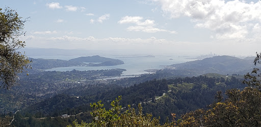 Blithedale Summit Trailhead - Thumbnail