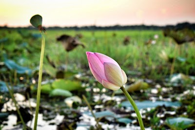 Photos of Paddma Lakes