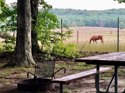 Indigo Bluffs RV Park & Resort