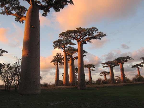 Viajar a https://lh3.googleusercontent.com/p/AF1QipPlV9UH_bdNs2wtAeJlisea7f7XvuByCYpjDIGI=s1600-w600