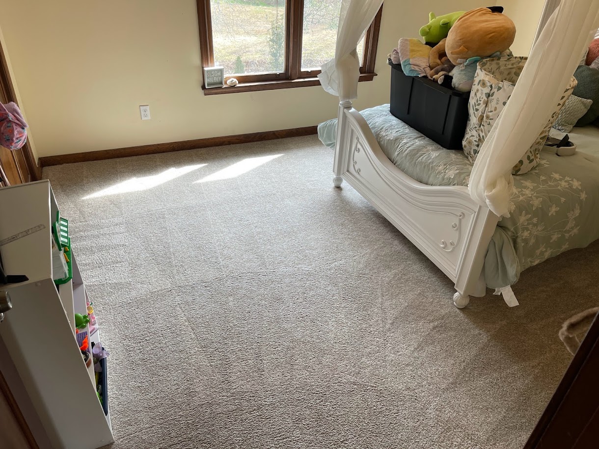 Main Street Carpet Cleaners