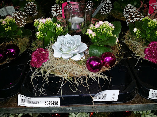 Arnes Flowers - Thumbnail