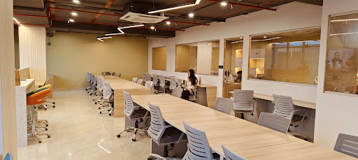 Gallery image 12