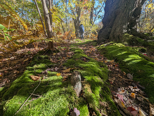 John Kieran Sanctuary Gallery - United States