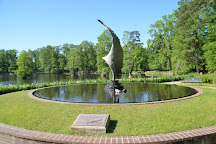 Swan Lake Iris Gardens, Sumter, United States