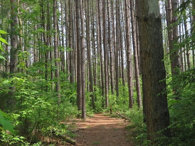 Cranesville Swamp Natural Area