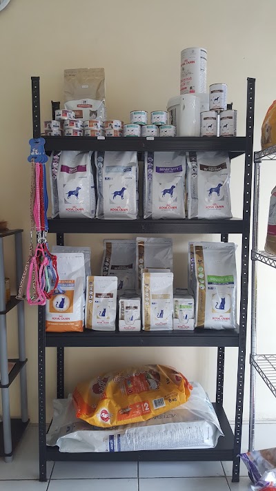 Photos of Chi Pet Care