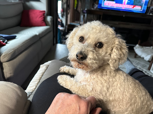 Starr Grooming - Thumbnail