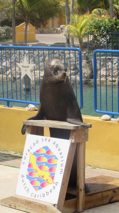 zoo