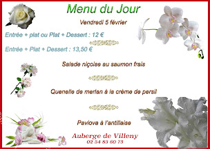 Photo n°51 de Auberge de Villeny à Villeny (Restaurant)