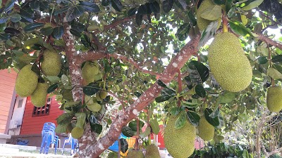 Photos of Hmooblis Resort