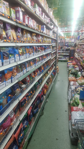 Fresh Bazaar - Visual