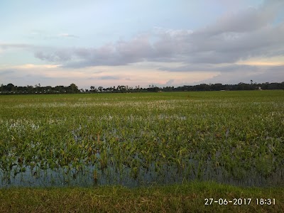 Photos of Gachihata Agriculture Farms Ltd.
