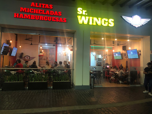 Sr. Wings - Visual