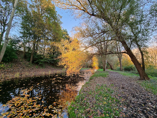 Noorderhout Gouda - Thumbnail