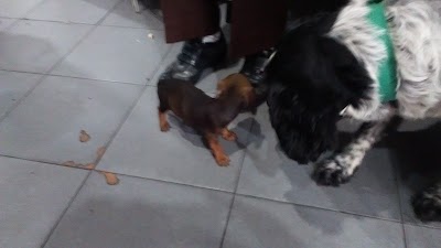 Photos of Veterinary Center Montes de Oca
