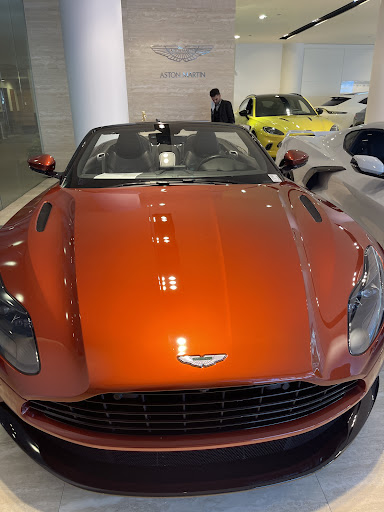 Napleton's Aston Martin Chicago - Thumbnail
