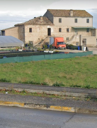 Giannelli