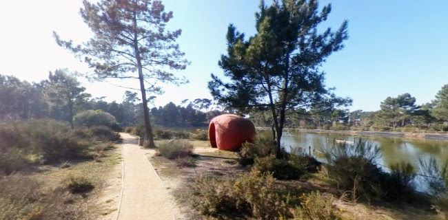 Parque Ambiental do Buçaquinho