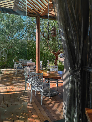 Cissus Restaurant - Visual
