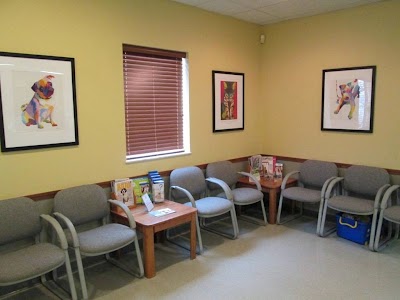 veterinary-care