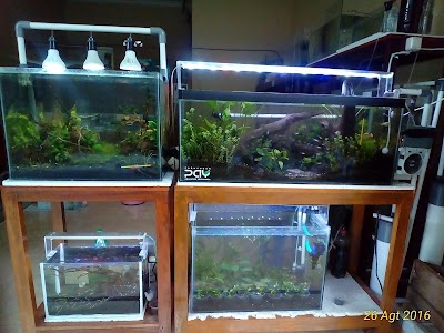 Photos of DeKa aQuatic