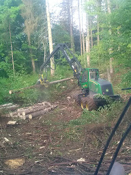 Photo n°17 de Girard François à Fertans (Magasin de bois de chauffage)