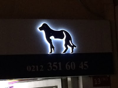Photos of Therapists Veterinary Medical Center