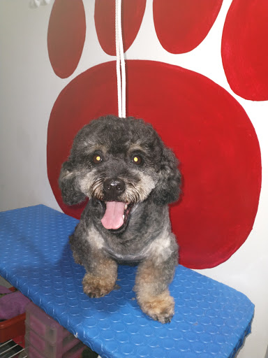 Veterinaria La Capilla
