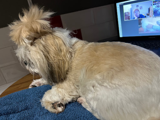 Au'tour du Chien Veronique Valy - Thumbnail