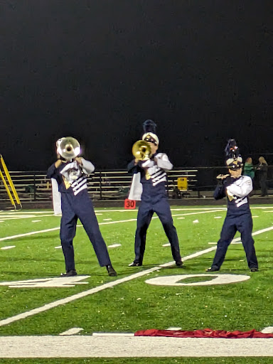 Falcon Field - Visual