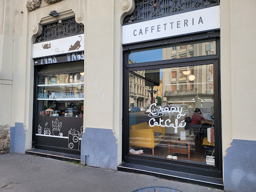 Crazy Cat Café - Visual