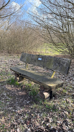 Bank von Bernterode - Visual