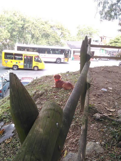 Photos of abuelos Park