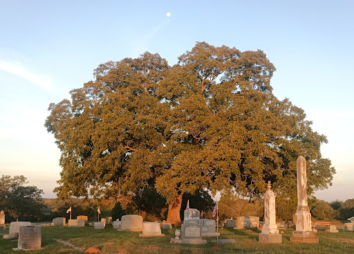 Lexington Cemetery - Thumbnail