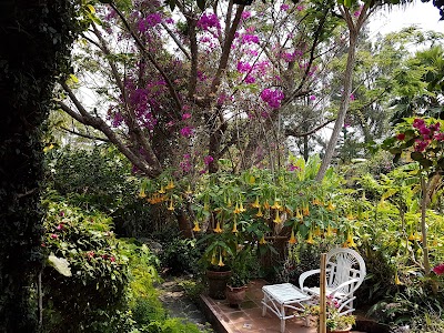 Photos of La Casa Rosa, Atitlan
