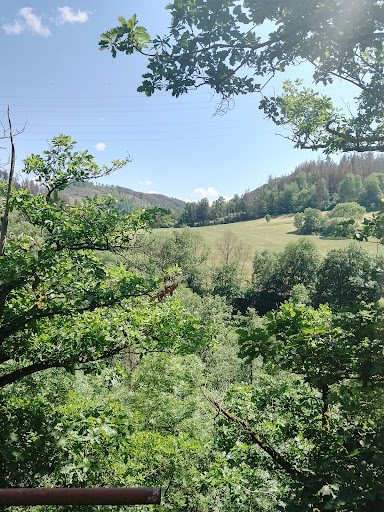 Leutenberger Urwaldpfad - Visual