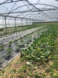 Photo n°32 de Ferme des Clos à Bonnelles (Magasin)
