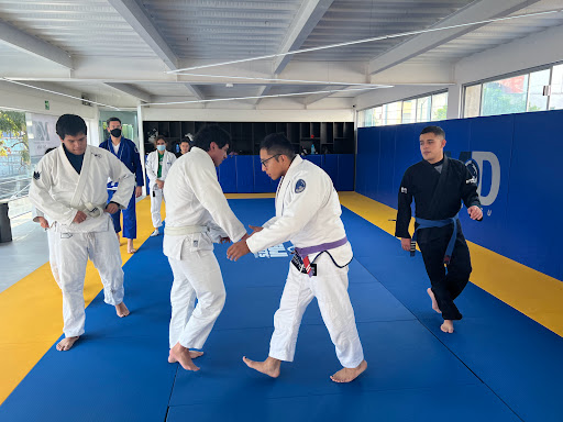 Renzo Gracie - MD Self Defense Academy Del Valle - Thumbnail