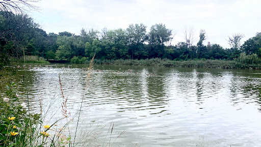 Willowbrook Field 3 - Thumbnail