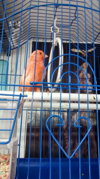 Photos of Veterinaria Paticas Madrid