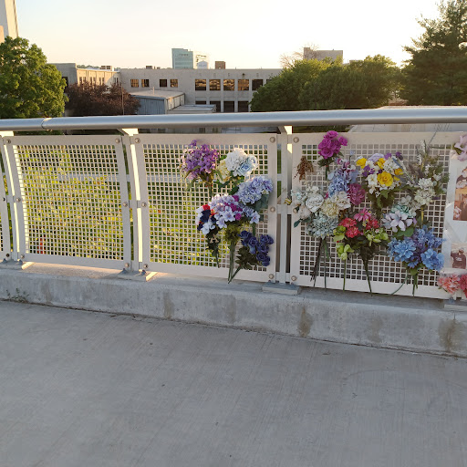 BridgePointe 485 - Visual