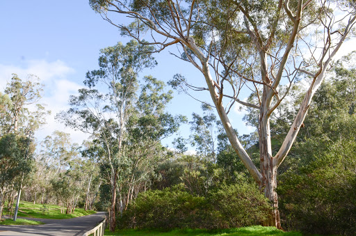 Brownhill Creek Recreation Park - Thumbnail