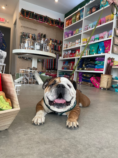 The Modern Dog Company