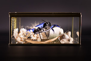 Photo n°47 de Domaine au Perisson à Le Brouilh-Monbert (Hôtel)