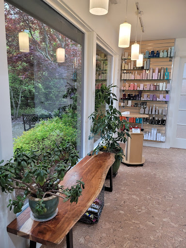 True Salon - Visual