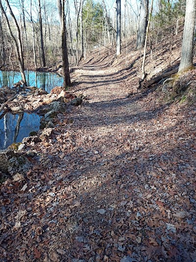 Rattlesnake spring