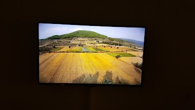 Photos of Gaia Gallery