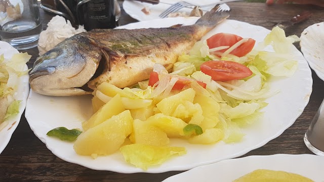 Fish Shack