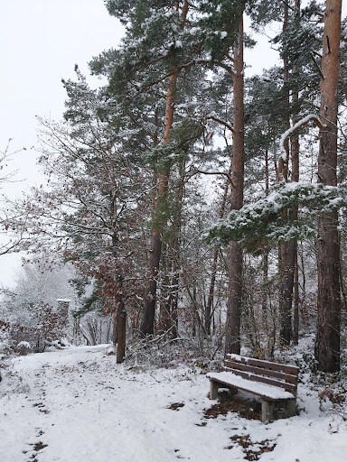 Aussichtsbank über der Kalten Haide - Thumbnail